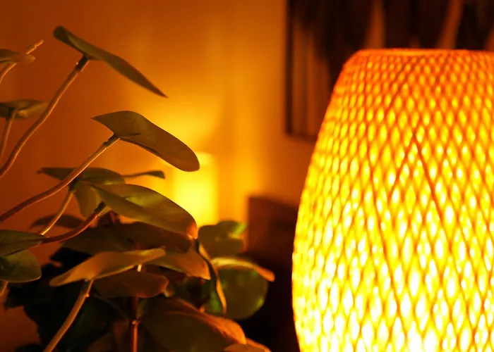 Appartement 2 Pieces 